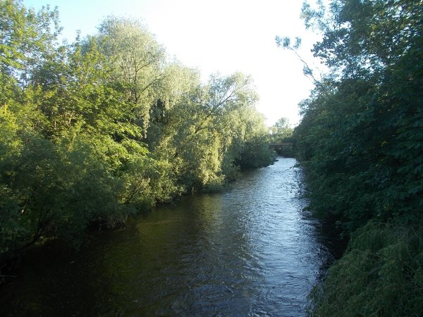 DSCN0008