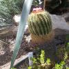 DSCN0038