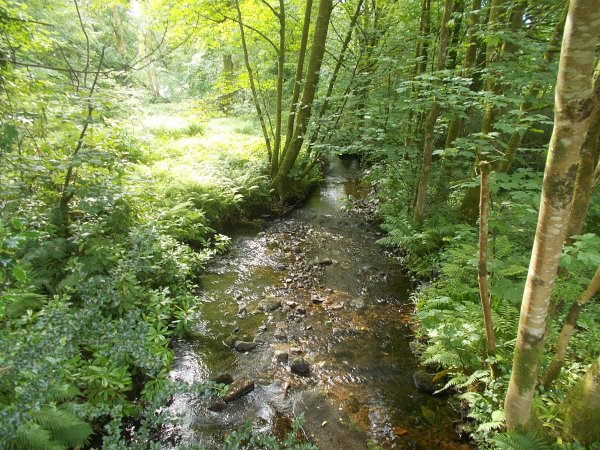 DSCN0056