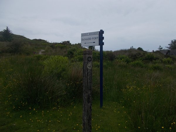 DSCN0068