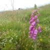 DSCN0072