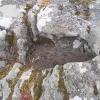 DSCN0081