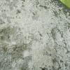 DSCN0103