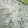 DSCN0104