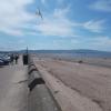 DSCN0169