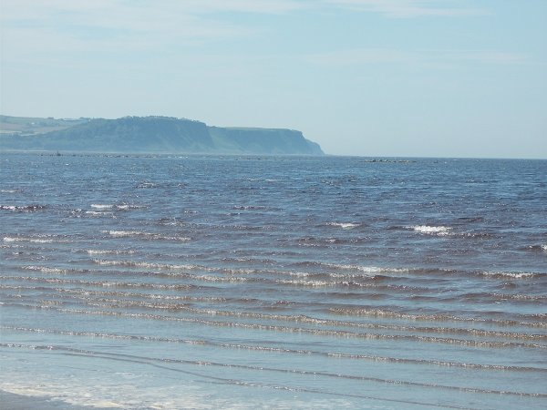DSCN0171
