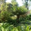 DSCN0229