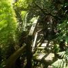 DSCN0236