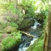 DSCN0248