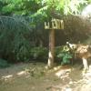 DSCN0251