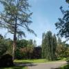 DSCN0287